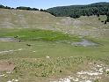 lago vivo